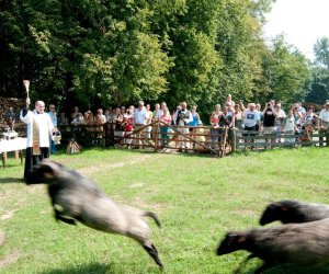 X PODLASKIE ŚWIĘTO CHLEBA