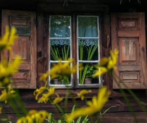 Siedem tygodni po Wielkanocy Siedem tygodni po Wielkanocy