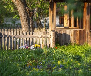 Majówka w Muzeum Majówka w Muzeum