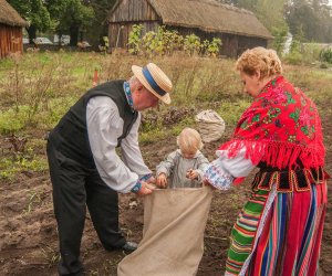 Wykopki w Skansenie 2013