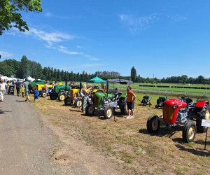 "Piknik Poznaj Dobrą Żywność" - Służewiec - 26 maja 2024 r.