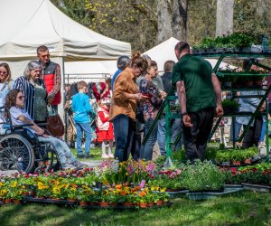 Jarmark św. Wojciecha A.D. 2023 - podsumowanie i fotorelacja