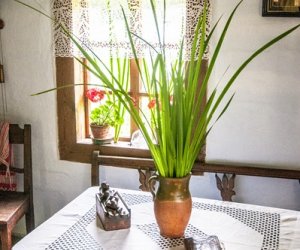 Zielone Świątki Zielone Świątki