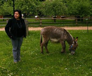 Początek wiosny w Muzeum Rolnictwa im. ks. K. Kluka w Ciechanowcu to czas dla zwierząt. Początek wiosny w Muzeum Rolnictwa im. ks. K. Kluka w Ciechanowcu to czas dla zwierząt.