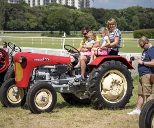 Piknik "Poznaj Zdrową Żywność" - fotorelacja Piknik "Poznaj Zdrową Żywność" - fotorelacja