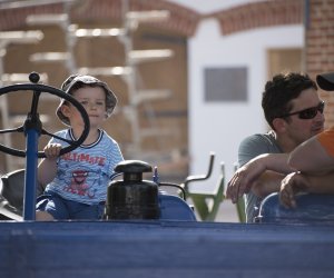 Noc Muzeów 2017 - fotorelacja Noc Muzeów 2017 - fotorelacja