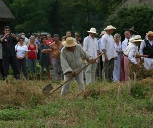 VII PODLASKIE ŚWIĘTO CHLEBA