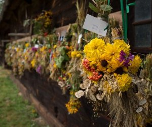XVII Podlaskie Święto Chleba - fotorelacja XVII Podlaskie Święto Chleba - fotorelacja