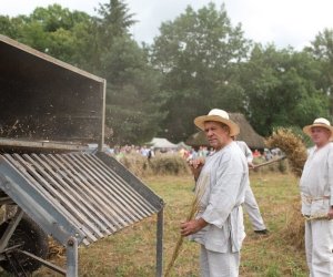 XVII Podlaskie Święto Chleba - fotorelacja XVII Podlaskie Święto Chleba - fotorelacja