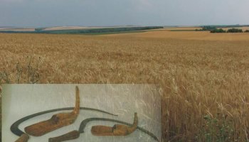 "Żniwa po bułgarsku"