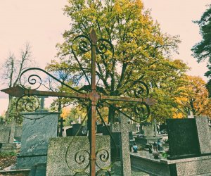 NIECOdziennik Muzealny - Ogrody Wiecznej Pamięci NIECOdziennik Muzealny - Ogrody Wiecznej Pamięci