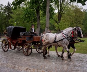 Noc Muzeów 2019 - fotorelacja Noc Muzeów 2019 - fotorelacja