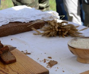 XVIII Podlaskie Święto Chleba - fotorelacja