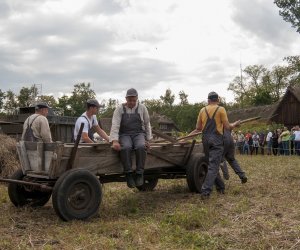 XVI Podlaskie Święto Chleba
