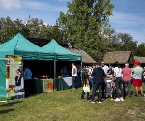 „Jesień w polu i zagrodzie” 2023 r. - fotorelacja i podsumowanie