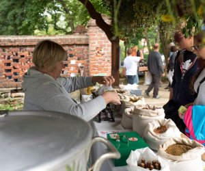 XVII Podlaskie Święto Chleba - fotorelacja XVII Podlaskie Święto Chleba - fotorelacja