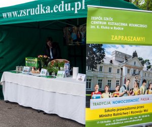 Jarmark św. Wojciecha i Święto Lasu Jarmark św. Wojciecha i Święto Lasu