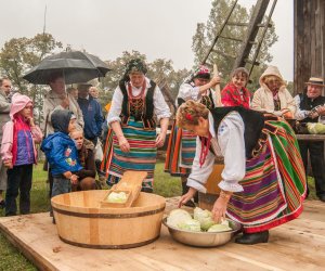 Wykopki w Skansenie 2013 Wykopki w Skansenie 2013