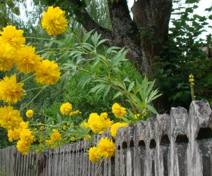 2023 rokiem wiejskich ogrodów 2023 rokiem wiejskich ogrodów