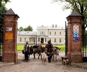 W drodze do Mongolii... W drodze do Mongolii...