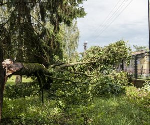 Nawałnica w ciechanowieckim muzeum Nawałnica w ciechanowieckim muzeum