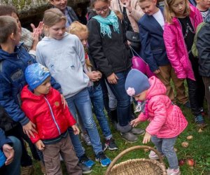 Jesień w Polu i Zagrodzie 2018 - fotorelacja