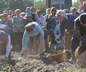 JESIEŃ W POLU I ZAGRODZIE w ramach Europejskich Dni Dziedzictwa 18 września 2016 r. JESIEŃ W POLU I ZAGRODZIE w ramach Europejskich Dni Dziedzictwa 18 września 2016 r.
