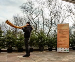 Galeria z 5 grudnia 2015