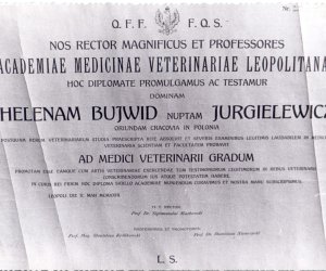 NIECOdziennik Muzealny - Helena Jurgielewiczowa (1897-1980) – lekarz medycyny weterynaryjnej i oficer Wojska Polskiego