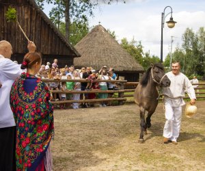 XXII Podlaskie Święto Chleba - fotorelacja
