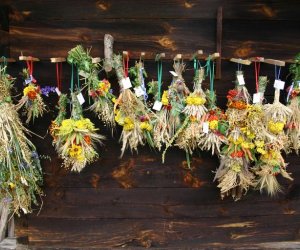 VIII PODLASKIE ŚWIĘTO CHLEBA