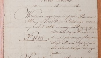 Codziennik Muzealny - Archiwum Augustynowiczów–Ciecierskich z Bacik