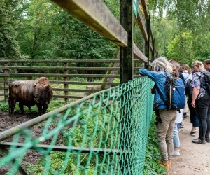 Konferencja Naukowo-Szkoleniowa III PARAZYTOZY ZWIERZĄT - fotorelacja Konferencja Naukowo-Szkoleniowa III PARAZYTOZY ZWIERZĄT - fotorelacja
