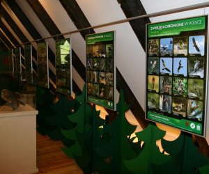 Nasza przyroda, Zagrożenia, cele i formy jej ochrony