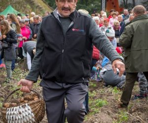 Jesień w Polu i Zagrodzie 2018 - fotorelacja