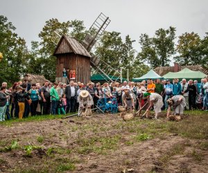 Jesień w polu i zagrodzie