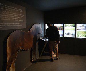 Noc Muzeów "Na ludowo" - 25 maja 2024 r. - fotorelacja Noc Muzeów "Na ludowo" - 25 maja 2024 r. - fotorelacja