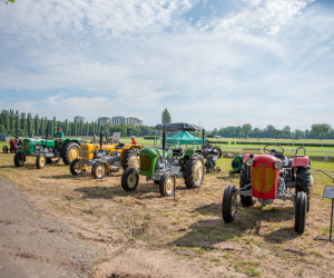 "Piknik Poznaj Dobrą Żywność" - Służewiec - 26 maja 2024 r. - fotorelacja "Piknik Poznaj Dobrą Żywność" - Służewiec - 26 maja 2024 r. - fotorelacja