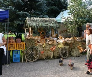 VII PODLASKIE ŚWIĘTO CHLEBA