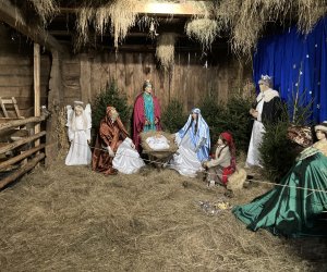 Szopka bożonarodzeniowa w naszym skansenie Szopka bożonarodzeniowa w naszym skansenie