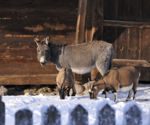 A gdyby Chrystus narodził się wcale nie tak dawno? A gdyby Chrystus narodził się wcale nie tak dawno?