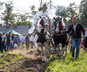 „Jesień w polu i zagrodzie” 2023 r. - fotorelacja i podsumowanie
