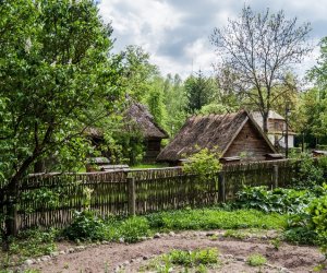 Ludowe Zielone Świątki - święto kościelne Zesłania Ducha Świętego, zamykającego cykl Wielkanocy 15 maja 2016 r.