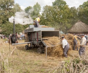 XVI Podlaskie Święto Chleba