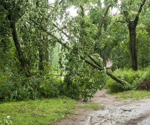Nawałnica w ciechanowieckim muzeum Nawałnica w ciechanowieckim muzeum