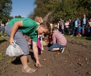 JESIEŃ W POLU I ZAGRODZIE w ramach Europejskich Dni Dziedzictwa 18 września 2016 r. JESIEŃ W POLU I ZAGRODZIE w ramach Europejskich Dni Dziedzictwa 18 września 2016 r.