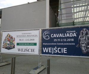 Narodowa Wystawa Rolnicza w Poznaniu