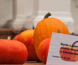 Wykopki w Skansenie 2013