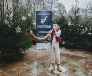 Ligawki 2018 Ligawki 2018