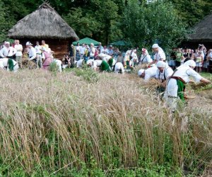 X PODLASKIE ŚWIĘTO CHLEBA